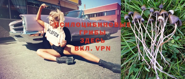 ALPHA-PVP Покров