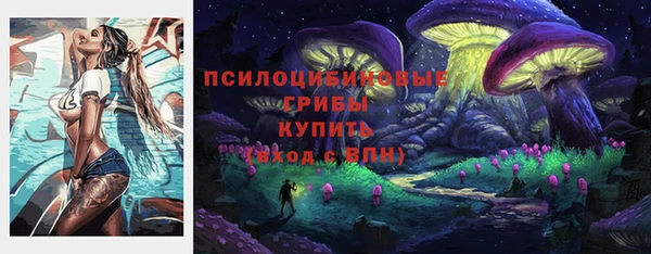 мдпв Покачи