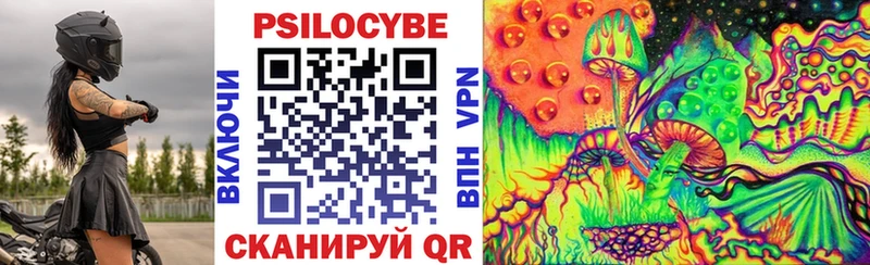 Псилоцибиновые грибы прущие грибы  Боровичи 