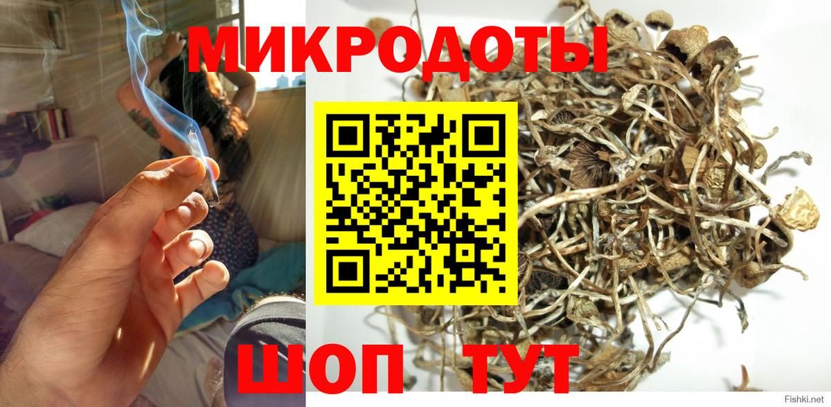 Галлюциногенные грибы мицелий Боровичи