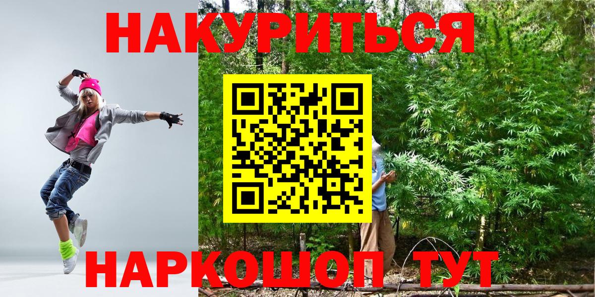 Бошки Шишки план Боровичи
